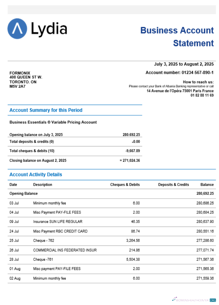 Download Lydia Noir bank business firm account statement Word snd PDF format Photoshop template